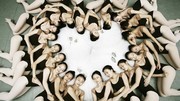 北京舞蹈学院毕业照极致唯美