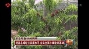 罗志军在徐州调研资讯搜索最新资讯爱奇艺