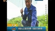 南部山区疑现狼影 现疑似狼粪便资讯搜索最新资讯爱奇艺