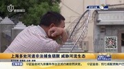 上海多处河道非法捕鱼猖獗 威胁河流生态资讯搜索最新资讯爱奇艺