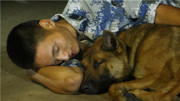 老兵退伍前一天 与心爱军犬相拥而眠