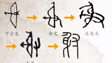 《智在说》幕后：从射字出发看中国文字演变