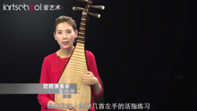 中央民族乐团琵琶首席董晓琳初级课程