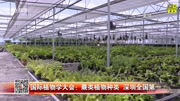 国际植物学大会:蕨类植物种类深圳全国第一资讯高清正版视频在线观看–爱奇艺