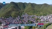 安吉县成为全国首个乡村振兴林业示范县资讯高清正版视频在线观看–爱奇艺