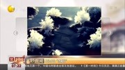 石头开出“冰霜花”资讯搜索最新资讯爱奇艺