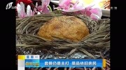 套餐仍是主打 菜品依旧亲民资讯高清正版视频在线观看–爱奇艺