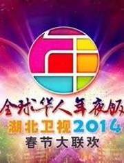 2014湖北卫视全球华人年夜饭春节联欢晚会