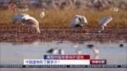 中国湿地你了解多少资讯搜索最新资讯爱奇艺