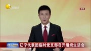 辽宁代表团临时党支部召开组织生活会资讯搜索最新资讯爱奇艺