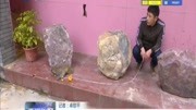 福州:小猴子市区＂流浪＂小伙子热心收留资讯搜索最新资讯爱奇艺