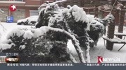 辽宁:沈阳昨日暴雪四个市县中小学停课资讯完整版视频在线观看爱奇艺