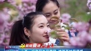 山西:织密民生保障网 增强百姓获得感资讯完整版视频在线观看爱奇艺