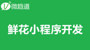 微信小程序开发课堂:鲜花店小程序开发 1、鲜花小程序开发需求知识名师课堂爱奇艺