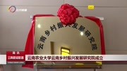 云南农业大学云南乡村振兴发展研究院成立资讯高清正版视频在线观看–爱奇艺