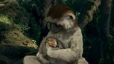 恐龙（片段）小狐猴收养小禽龙阿拉达