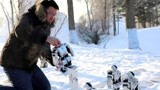 机器人零下40°雪地跳舞