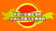 2019拼多多新手开店全面实操 拼多多一个月卖20W实操知识名师课堂爱奇艺