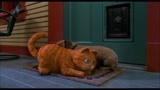 加菲猫独自躺在门口欧迪从房子里出来陪他