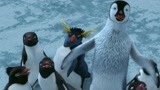 波波和企鹅们在南极洲外的冰川遇到了人类的大船