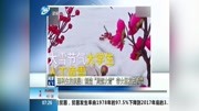 理科生的浪漫!制造＂局部大雪＂带女朋友去看雪资讯搜索最新资讯爱奇艺