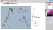 人体结构零基础入门教程 CG电脑绘画教程 人物肱骨尺骨桡骨详解画法教程 手绘动漫入门教程教育高清正版视频在线观看–爱奇艺