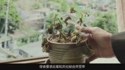 3分钟看完神剧《与神同行:罪与罚》韩国的地狱原创完整版视频在线观看爱奇艺