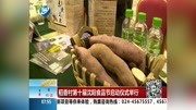 稻香村第十届沈阳食品节启动仪式举行资讯搜索最新资讯爱奇艺