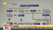 ＂8890＂辽宁省综合服务平台上线运行资讯搜索最新资讯爱奇艺