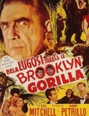 贝拉卢高希遇上布鲁克林的大猩猩
