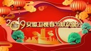 2019安徽卫视春晚