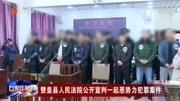 赞皇县人民法院公开宣判一起恶势力犯罪案件资讯完整版视频在线观看爱奇艺