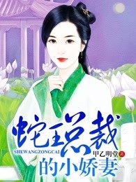 九云辞番外之婚后生活电子书封面