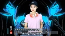 慢嗨dj