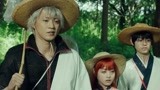 银魂：银时一行前往森林捉独角仙，竟遇到两个变态！