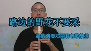 竖笛演奏《路边的野花不要采》,邓丽君著名老歌旋律音乐背景音乐视频音乐爱奇艺