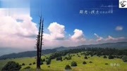 《魅力四川游》第20190704期攀枝花旅游宣传片旅游完整版视频在线观看爱奇艺