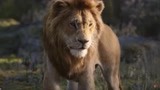 真人版《狮子王》”面瘫脸“难以入戏，像是在看动物世界纪录片！
