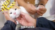 【黄阿玛的后宫生活】浣肠治病去!生活高清正版视频在线观看–爱奇艺