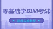 《BIM技能实操培训视频 Revit专业培训视频课程大全》第20190812期BIM考试,集4位BIM老师倾心讲解,吃透bim每个考点原创完整版视频在线观看爱奇艺