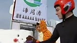 美国小伙子来挑战自我  太着急 失去两次机会