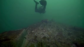 Watch the latest Underwater China Episode 2 (2019) online with English subtitle for free English Subtitle