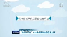 “就业彩云南”公共就业服务信息系统上线