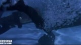 绝色神偷：香艳女子在水中与男人玩起浪漫，唯美的画面