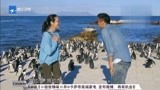 十二道锋味：杨紫琼谢霆锋参观企鹅王国，女侠见到企鹅秒变少女