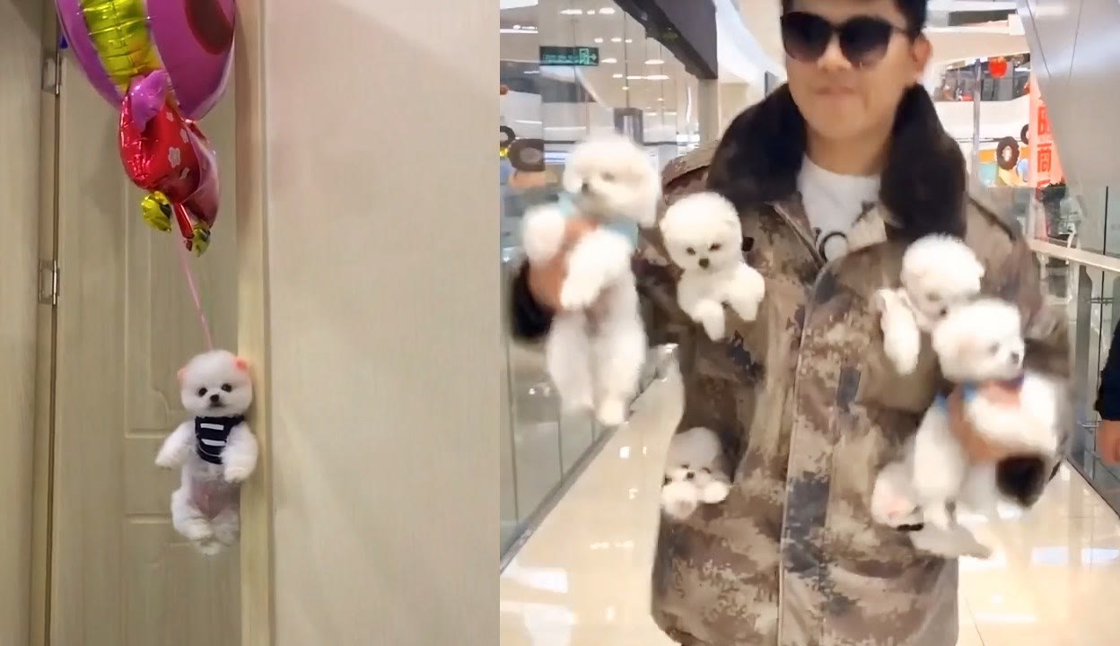 欧美妈妈带着儿子女儿一起直播萝莉男童母女 