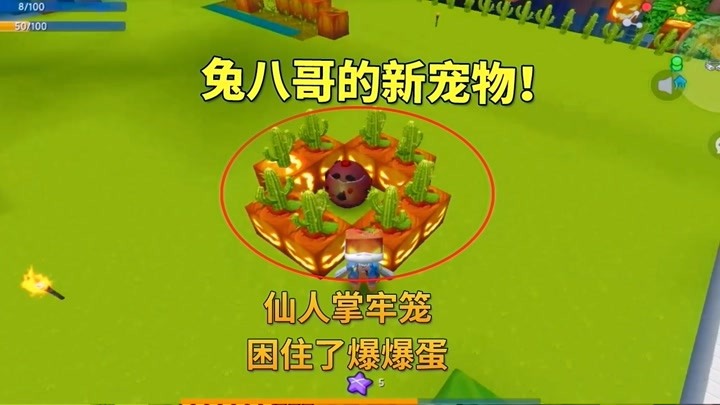 小龅牙兔八哥