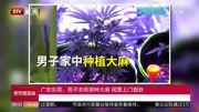 广东东莞:男子衣柜里种大麻 民警上门查获资讯搜索最新资讯爱奇艺