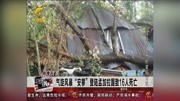  气旋风暴“安攀”登陆孟加拉国致16人死亡资讯搜索最新资讯爱奇艺