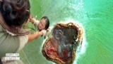 西游降魔：鱼怪张开血盆大口，一口吃了小女孩，太吓人了！